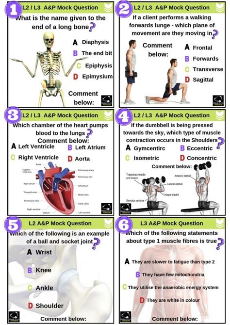 Each subsection will cover further related topics specific to those areas. . Chapter 2 practice test anatomy and physiology